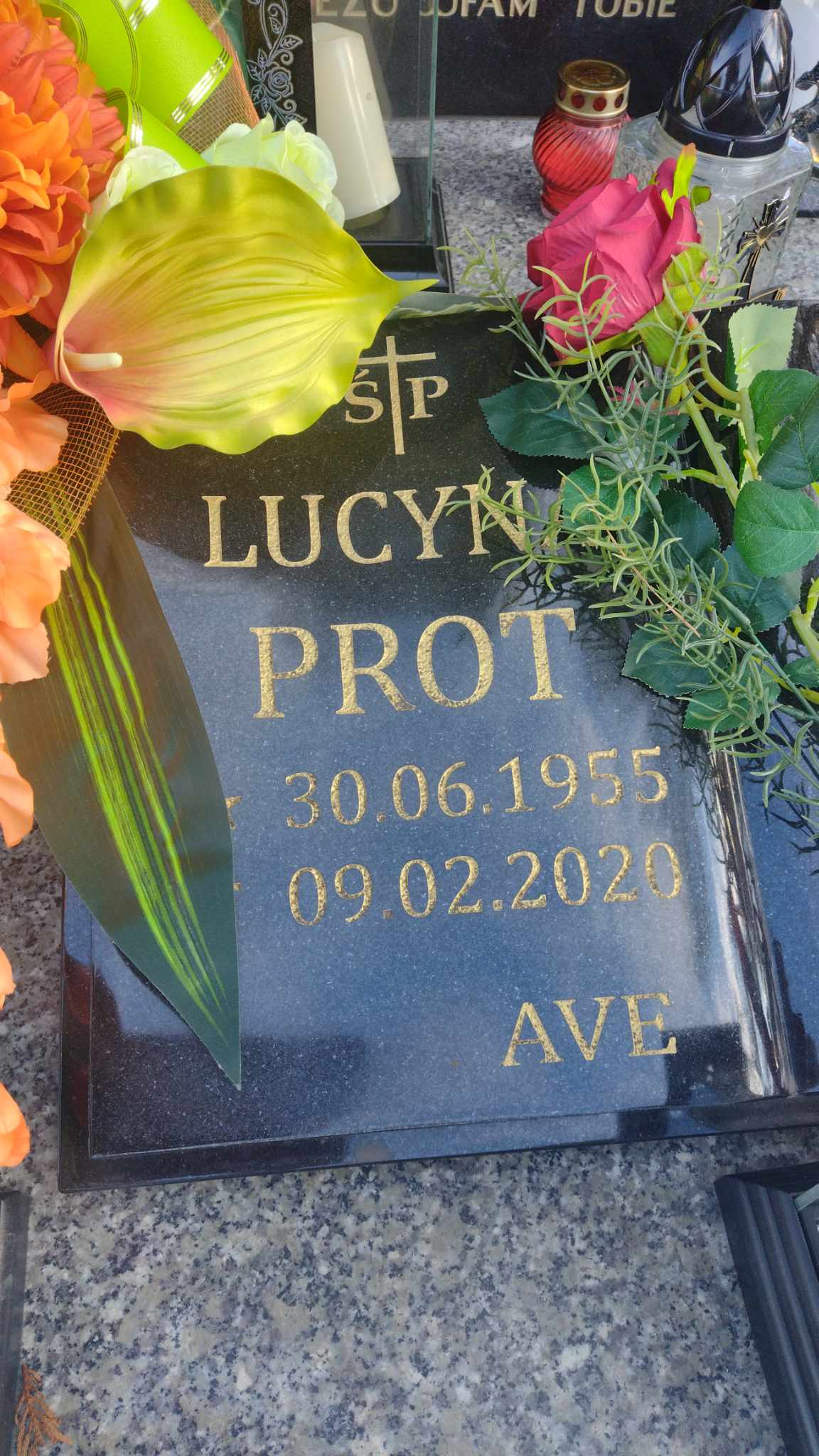 486605832 1083442023827416 699124738874973707 n