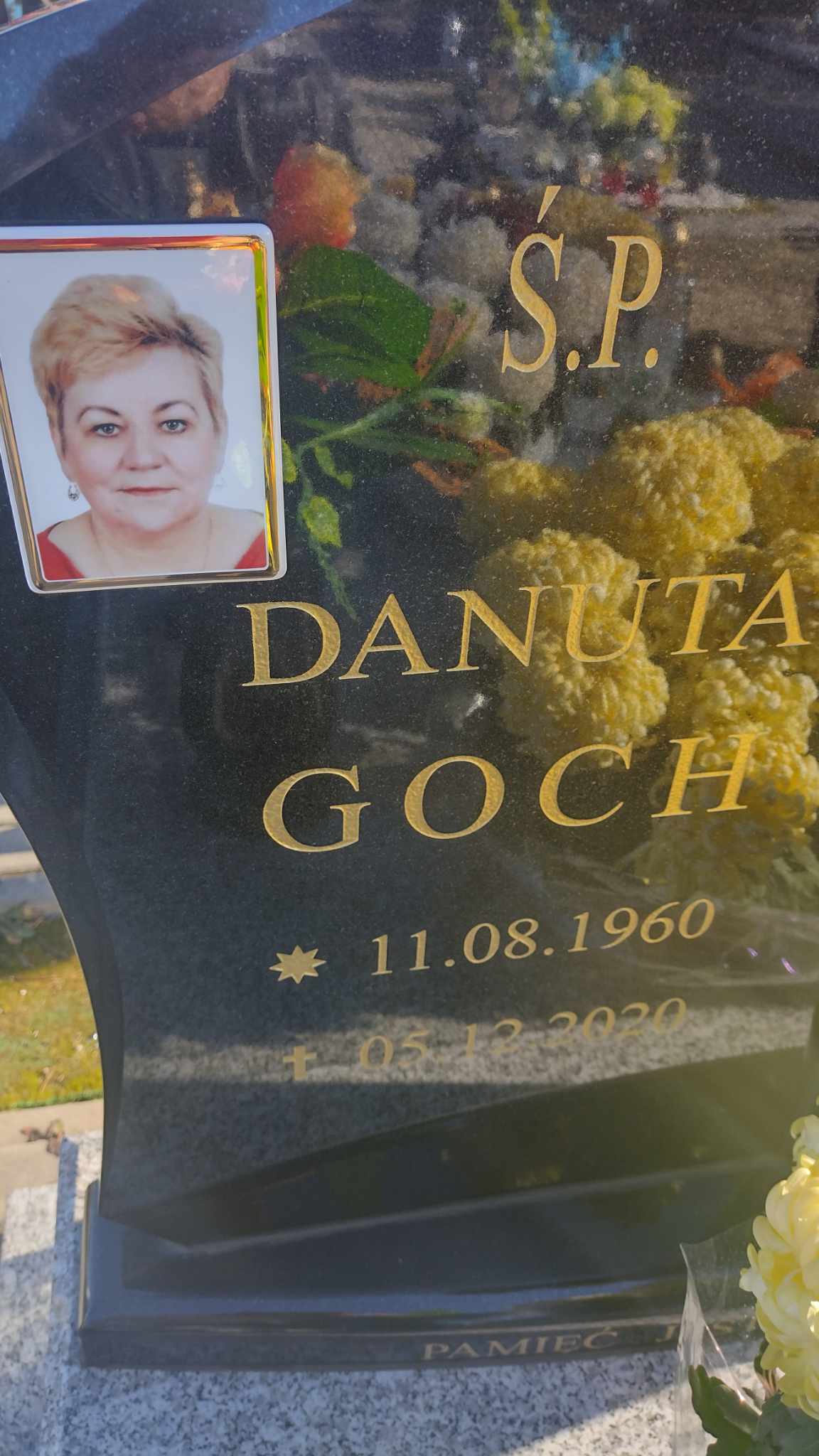 486691333 1083441583827460 8415959698329869344 n